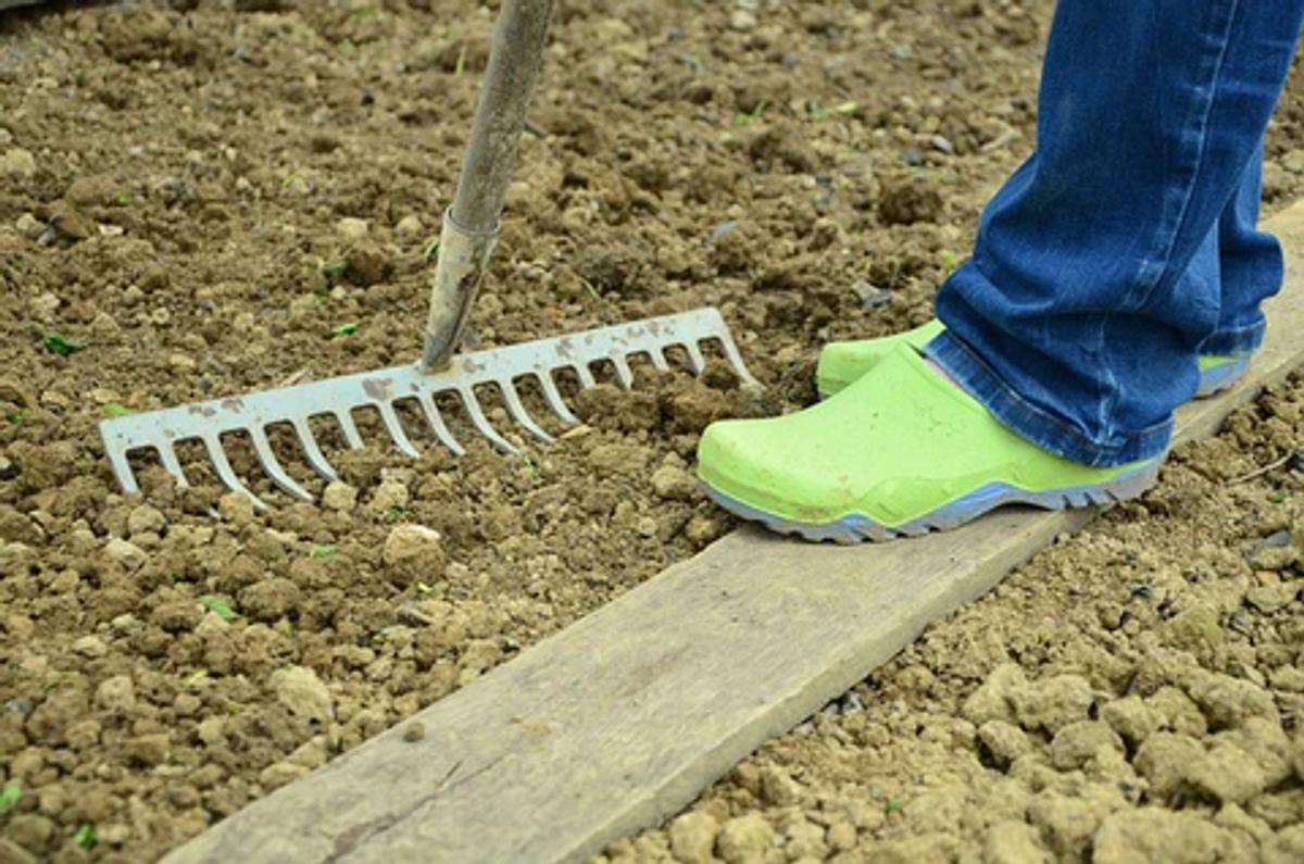 a person standing in fresh soil with a rake