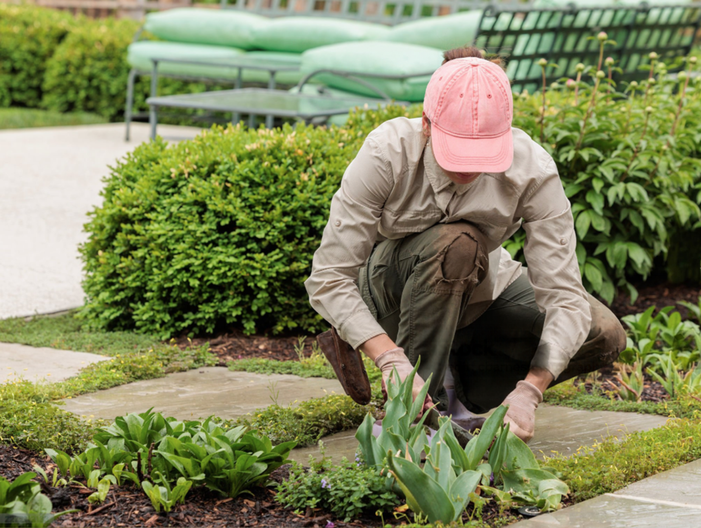 Gardener laying out Texas native plants before installing a mixed garden.