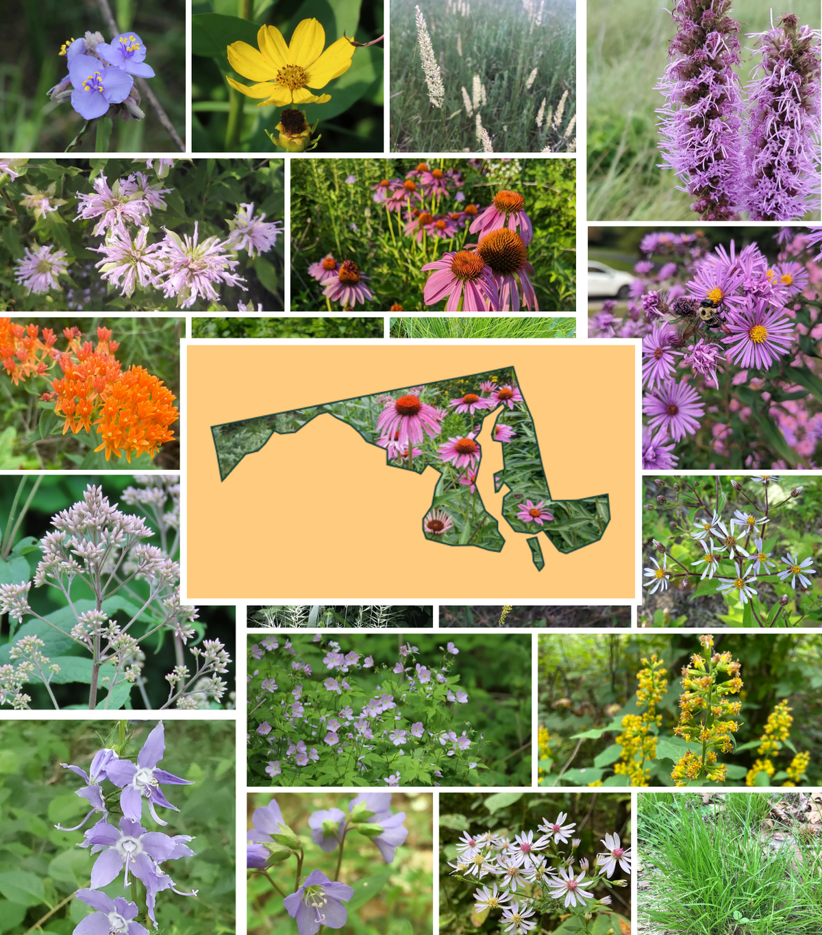 Garden Designers