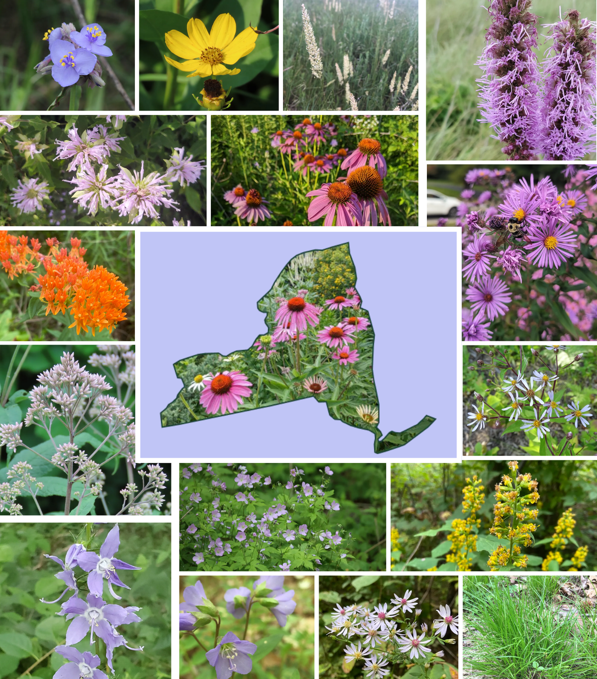 Garden Designers