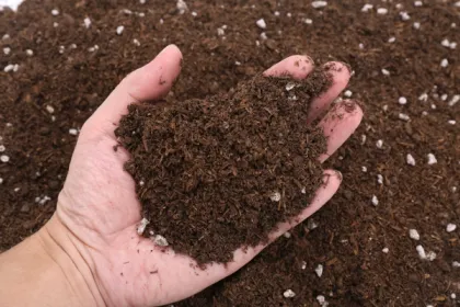 bright fresh soil in hands on top of additional fresh soil
