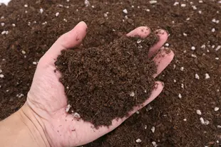 bright fresh soil in hands on top of additional fresh soil