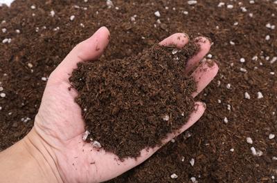 bright fresh soil in hands on top of additional fresh soil