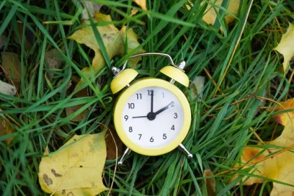 A yellow clock sitting in august leaves and lush green grass