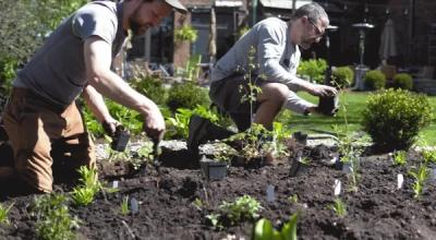 Two men installing native plants in a garden bed
