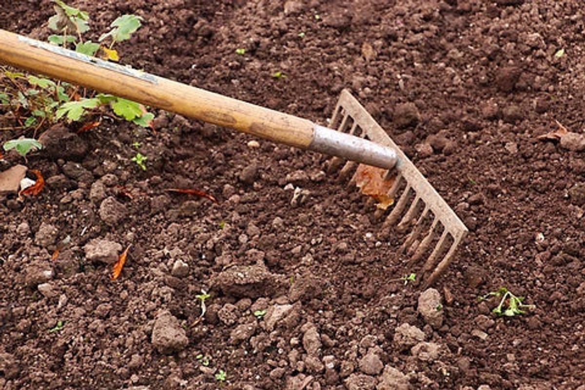 rake in fresh soil