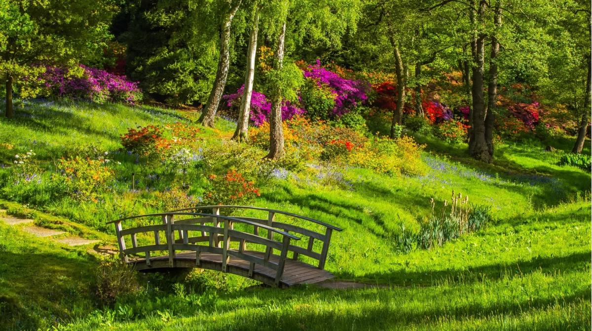 a bridge in a grassy park