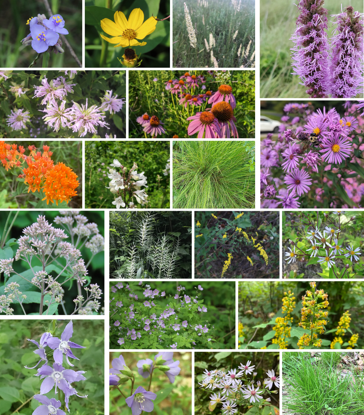Garden Designers