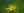 Close-up of Great St. John's Wort