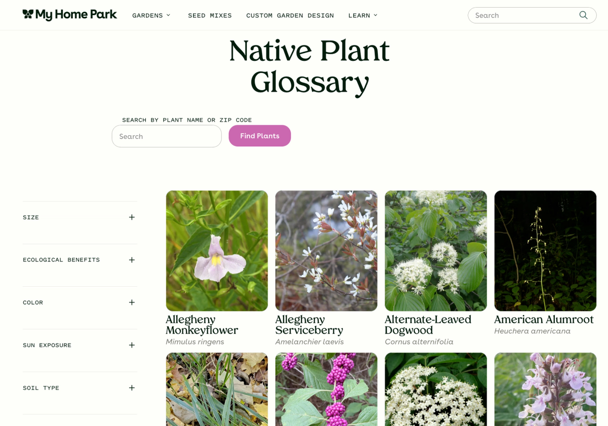 screenshot of my home park website showing native plant glossary