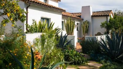 California drought tolerant landscaping replacing lawn
