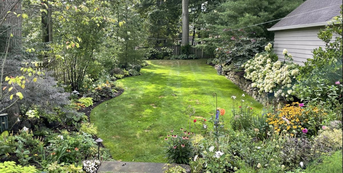 Well-designed native garden