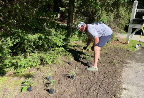 a man laying out small potted plants in a prepared bed
