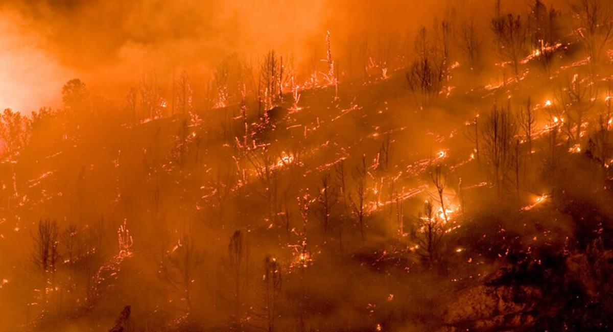 Wildfire in Hawaii 2023