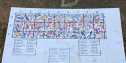 A gridded planting map of many colored dots