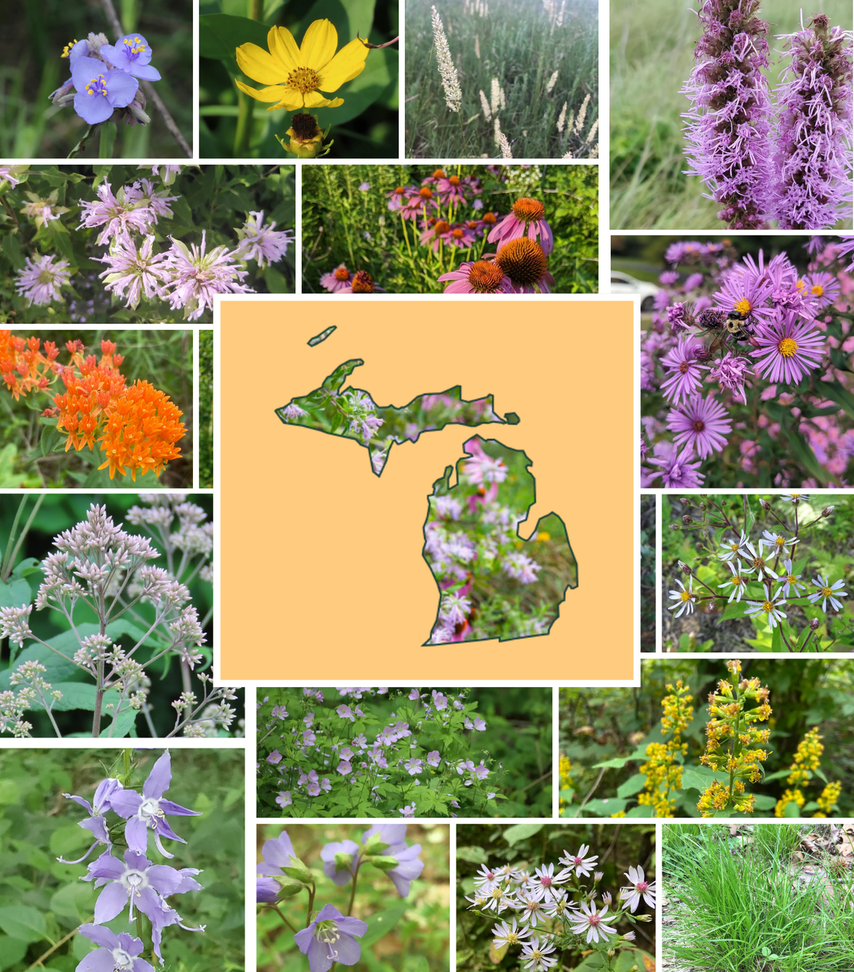 Garden Designers