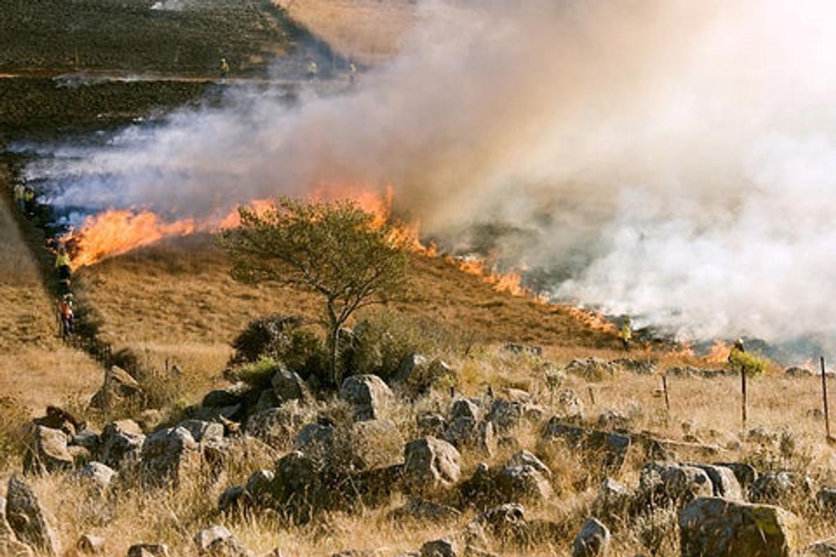 Firefighters applying a controlled burn to a dry grass field