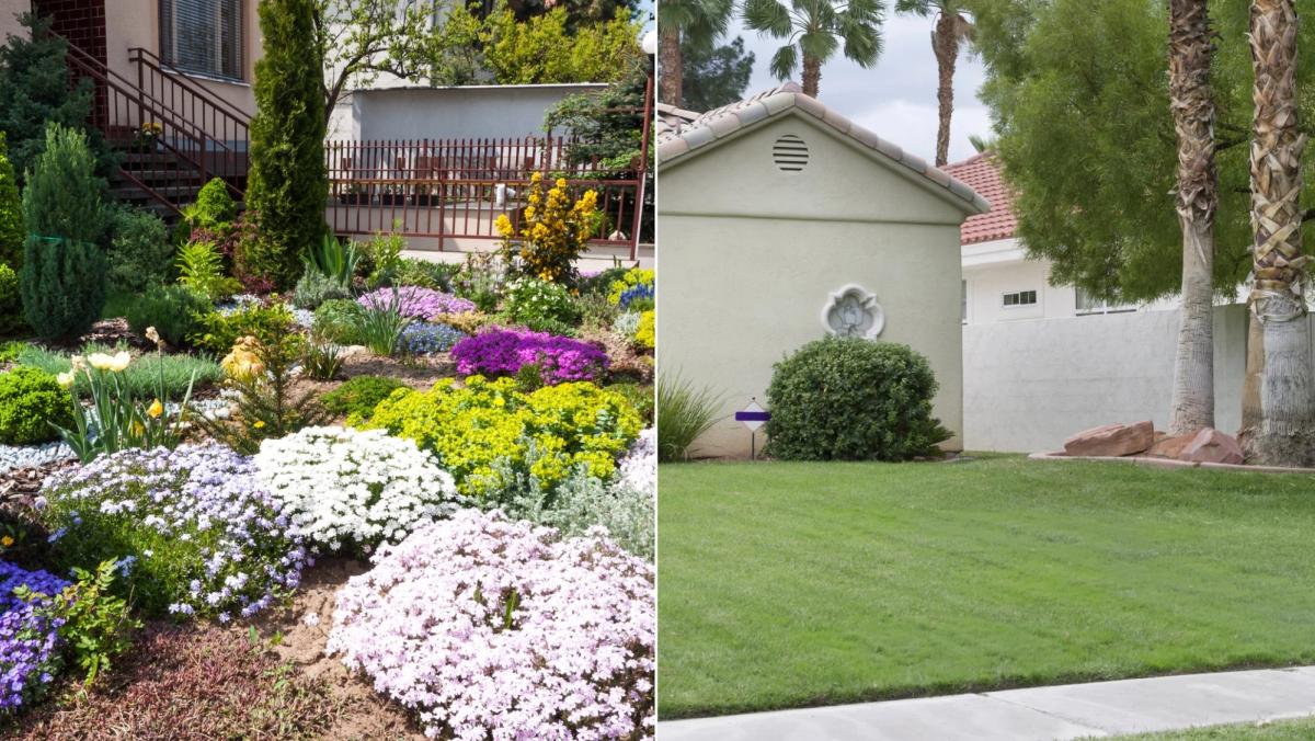 comparison of garden with flowers vs a traditional lawn
