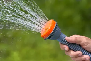 Hand of gardener watering garden with sprinkler.
