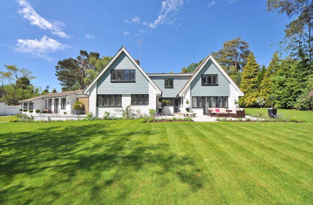 A classic American lawnscape often features broad expanses of one species of grass.