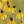 Close-up of Grey-Headed Coneflower