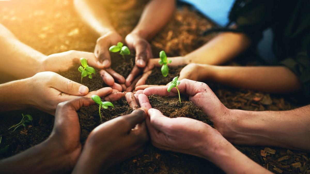 Multiple hands holding soil with a sprouting plant