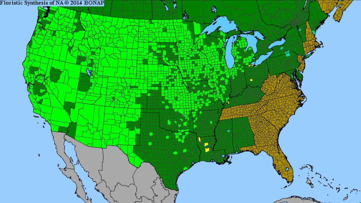 Map for Junegrass