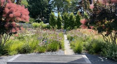 A large new perennialist installation of wildflowers and grasses