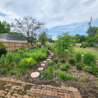 native garden designed by my home park