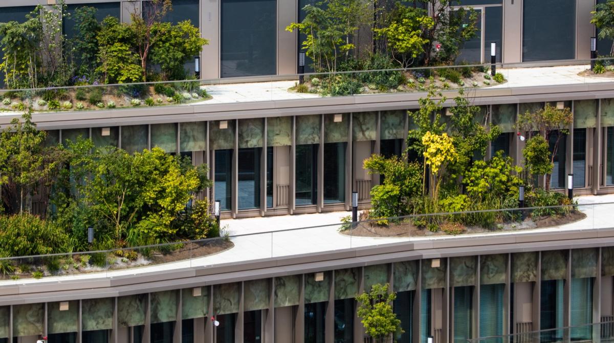 building with green areas