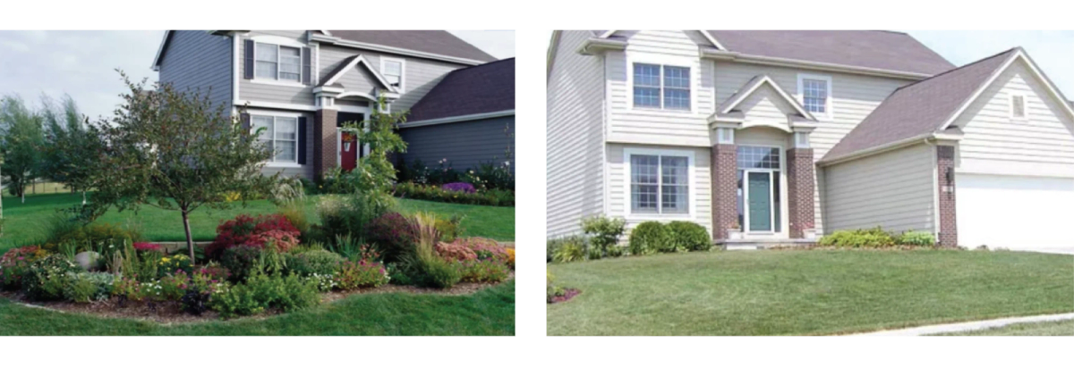 Home Before and After Landscaping
