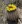 Close-up of Barrel Cactus