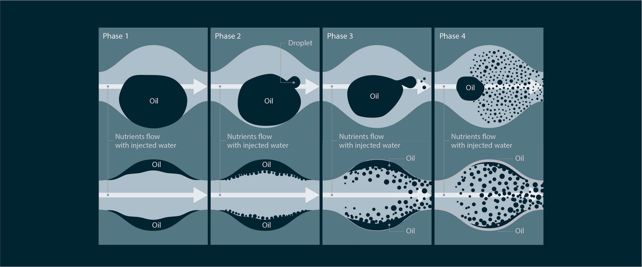 four step process organic oil recovery