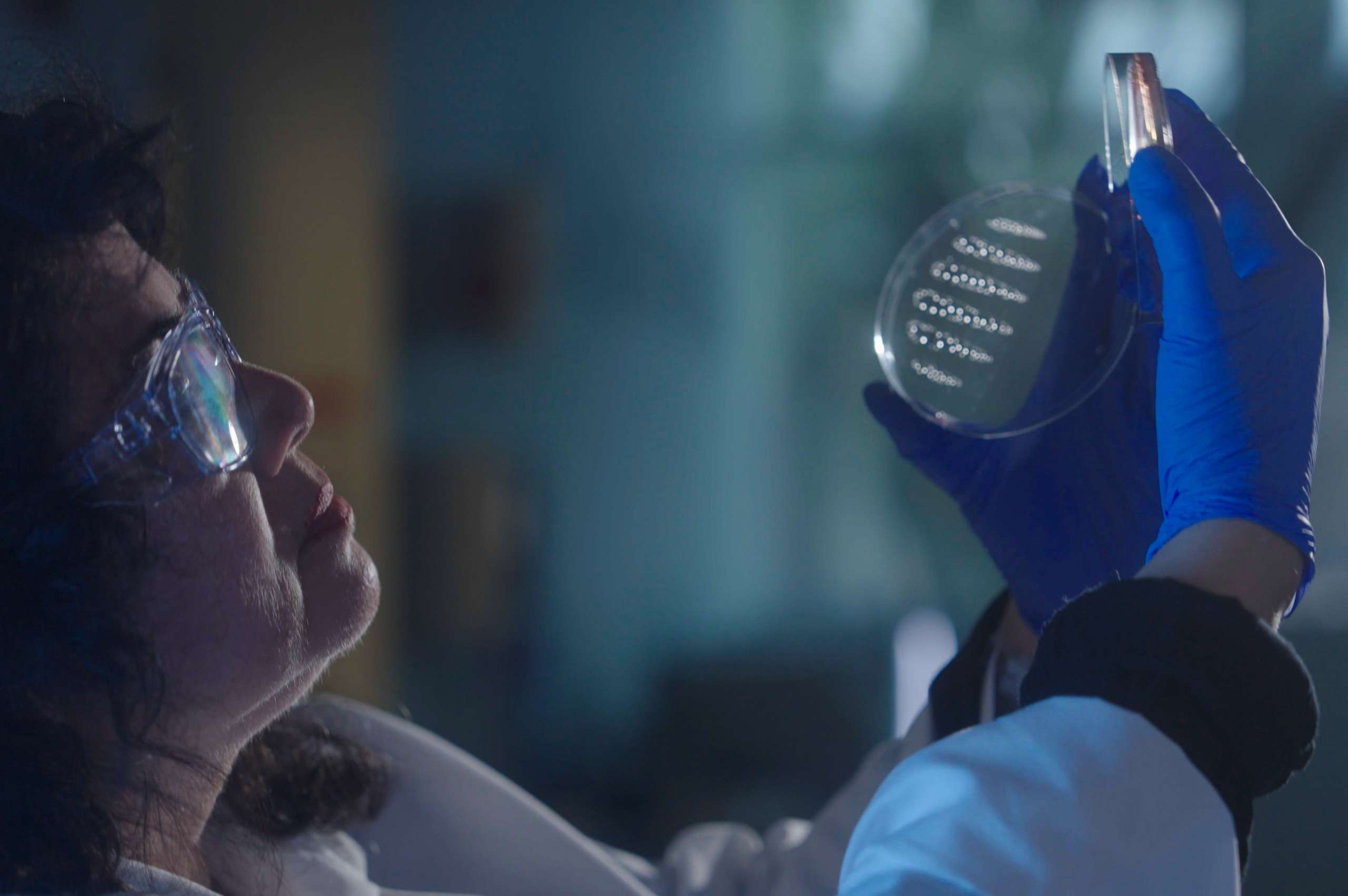 woman in lab looking at samples