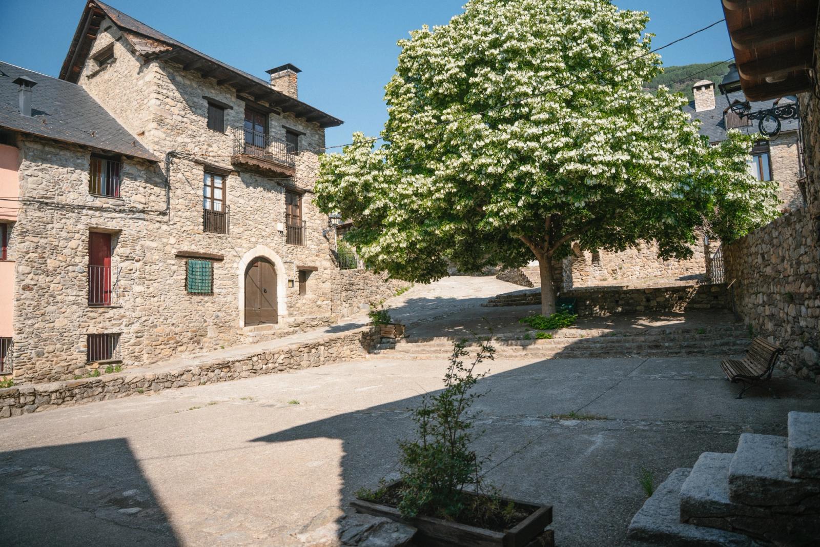 Plaça Major de Son