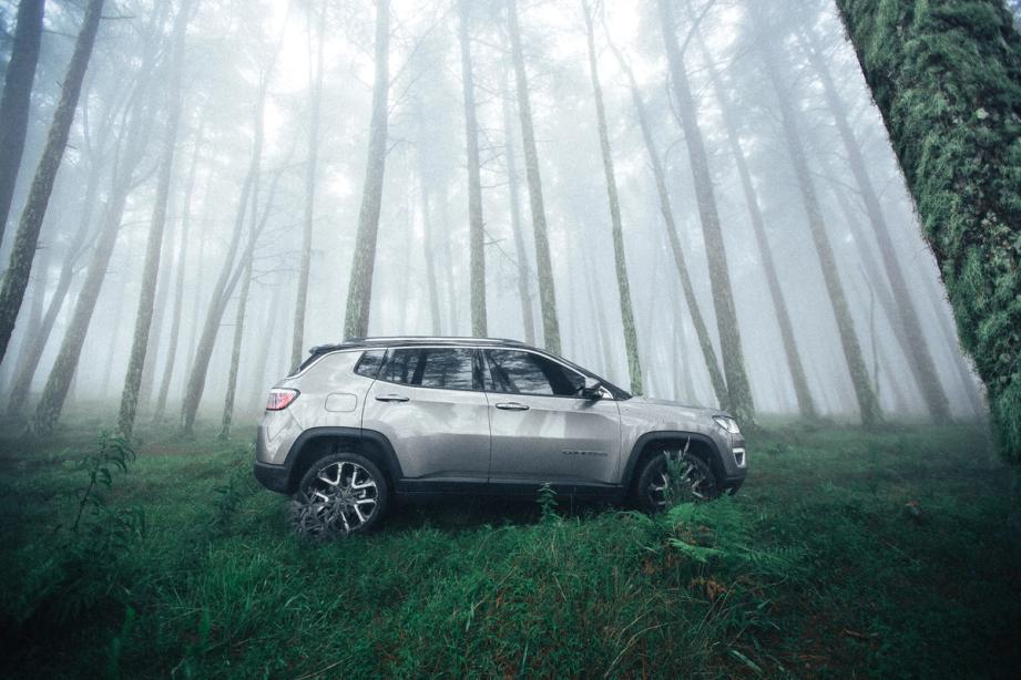  Grå SUV som står i skogen