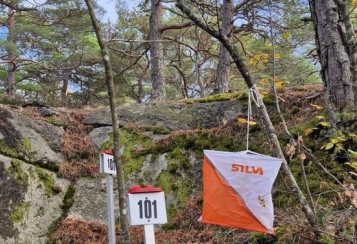 Blodslitetpost i høstskogen. Foto: Henrik Ottesen
