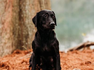 Photo of Kate​​​​‌﻿‍﻿​‍​‍‌‍﻿﻿‌﻿​‍‌‍‍‌‌‍‌﻿‌‍‍‌‌‍﻿‍​‍​‍​﻿‍‍​‍​‍‌﻿​﻿‌‍​‌‌‍﻿‍‌‍‍‌‌﻿‌​‌﻿‍‌​‍﻿‍‌‍‍‌‌‍﻿﻿​‍​‍​‍﻿​​‍​‍‌‍‍​‌﻿​‍‌‍‌‌‌‍‌‍​‍​‍​﻿‍‍​‍​‍‌‍‍​‌﻿‌​‌﻿‌​‌﻿​​​﻿‍‍​‍﻿﻿​‍﻿﻿‌‍﻿​‌‍﻿﻿‌‍​﻿‌‍​‌‌‍﻿​‌‍‍​‌‍﻿﻿‌﻿​﻿‌﻿‌​​﻿‍‍​﻿​﻿​﻿​﻿​﻿​﻿​﻿​﻿​‍﻿﻿‌‍‍‌‌‍﻿‍‌﻿‌​‌‍‌‌‌‍﻿‍‌﻿‌​​‍﻿﻿‌‍‌‌‌‍‌​‌‍‍‌‌﻿‌​​‍﻿﻿‌‍﻿‌‌‍﻿﻿‌‍‌​‌‍‌‌​﻿﻿‌‌﻿​​‌﻿​‍‌‍‌‌‌﻿​﻿‌‍‌‌‌‍﻿‍‌﻿‌​‌‍​‌‌﻿‌​‌‍‍‌‌‍﻿﻿‌‍﻿‍​﻿‍﻿‌‍‍‌‌‍‌​​﻿﻿‌​﻿‍​‌‍​﻿​﻿‌‍​﻿‌﻿​﻿‍​​﻿​‌​﻿‍‌​﻿‌​​‍﻿‌‌‍​‌​﻿‌​‌‍‌​​﻿‌﻿​‍﻿‌​﻿‌​​﻿‌﻿‌‍​﻿​﻿‌﻿​‍﻿‌‌‍​‍​﻿​﻿​﻿‌​‌‍‌‌​‍﻿‌​﻿​​​﻿‌‍​﻿​‍​﻿‌‍​﻿​​‌‍​‍​﻿​​​﻿‍‌​﻿‌‌‌‍​‌​﻿‌‌​﻿​‍​﻿‍﻿‌﻿‌​‌﻿‍‌‌﻿​​‌‍‌‌​﻿﻿‌‌‍‌​‌‍﻿﻿‌‍‌﻿​﻿‍﻿‌﻿​​‌‍​‌‌﻿‌​‌‍‍​​﻿﻿‌‌‍​﻿‌‍​‌‌‍﻿​‌‍﻿​‌​﻿‍‌‍​‌‌‍﻿‌‌‍‌‌​﻿﻿﻿‌‍​‍‌‍​‌‌﻿​﻿‌‍‌‌‌‌‌‌‌﻿​‍‌‍﻿​​﻿﻿‌‌‍‍​‌﻿‌​‌﻿‌​‌﻿​​​‍‌‌​﻿​﻿‌​​‌​‍‌‌​﻿​‍‌​‌‍​‍‌‌​﻿​‍‌​‌‍‌‍﻿​‌‍﻿﻿‌‍​﻿‌‍​‌‌‍﻿​‌‍‍​‌‍﻿﻿‌﻿​﻿‌﻿‌​​‍‌‌​﻿​﻿‌​​‌​﻿​﻿​﻿​﻿​﻿​﻿​﻿​﻿​‍‌‍‌‍‍‌‌‍‌​​﻿﻿‌​﻿‍​‌‍​﻿​﻿‌‍​﻿‌﻿​﻿‍​​﻿​‌​﻿‍‌​﻿‌​​‍﻿‌‌‍​‌​﻿‌​‌‍‌​​﻿‌﻿​‍﻿‌​﻿‌​​﻿‌﻿‌‍​﻿​﻿‌﻿​‍﻿‌‌‍​‍​﻿​﻿​﻿‌​‌‍‌‌​‍﻿‌​﻿​​​﻿‌‍​﻿​‍​﻿‌‍​﻿​​‌‍​‍​﻿​​​﻿‍‌​﻿‌‌‌‍​‌​﻿‌‌​﻿​‍​‍‌‍‌﻿‌​‌﻿‍‌‌﻿​​‌‍‌‌​﻿﻿‌‌‍‌​‌‍﻿﻿‌‍‌﻿​‍‌‍‌﻿​​‌‍​‌‌﻿‌​‌‍‍​​﻿﻿‌‌‍​﻿‌‍​‌‌‍﻿​‌‍﻿​‌​﻿‍‌‍​‌‌‍﻿‌‌‍‌‌​‍‌‍‌﻿​​‌‍‌‌‌﻿​‍‌﻿​﻿‌﻿​​‌‍‌‌‌‍​﻿‌﻿‌​‌‍‍‌‌﻿‌‍‌‍‌‌​﻿﻿‌‌﻿​​‌﻿‌‌‌‍​‍‌‍﻿​‌‍‍‌‌﻿​﻿‌‍‍​‌‍‌‌‌‍‌​​‍​‍‌﻿﻿‌