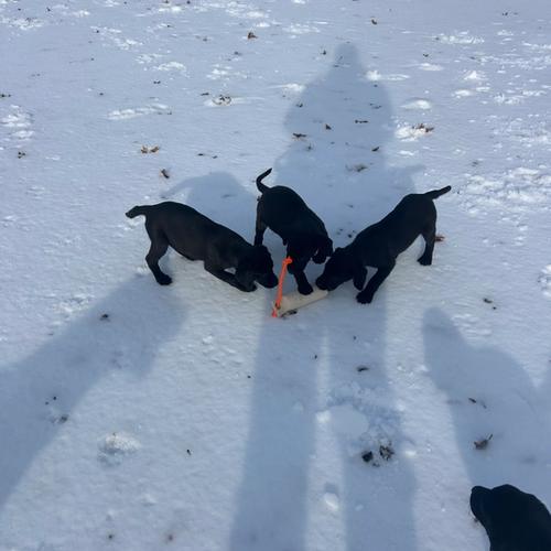 Photo of Hanna and Glen New Year 2026