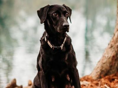 Photo of Hanna​​​​‌﻿‍﻿​‍​‍‌‍﻿﻿‌﻿​‍‌‍‍‌‌‍‌﻿‌‍‍‌‌‍﻿‍​‍​‍​﻿‍‍​‍​‍‌﻿​﻿‌‍​‌‌‍﻿‍‌‍‍‌‌﻿‌​‌﻿‍‌​‍﻿‍‌‍‍‌‌‍﻿﻿​‍​‍​‍﻿​​‍​‍‌‍‍​‌﻿​‍‌‍‌‌‌‍‌‍​‍​‍​﻿‍‍​‍​‍‌‍‍​‌﻿‌​‌﻿‌​‌﻿​​​﻿‍‍​‍﻿﻿​‍﻿﻿‌‍﻿​‌‍﻿﻿‌‍​﻿‌‍​‌‌‍﻿​‌‍‍​‌‍﻿﻿‌﻿​﻿‌﻿‌​​﻿‍‍​﻿​﻿​﻿​﻿​﻿​﻿​﻿​﻿​‍﻿﻿‌‍‍‌‌‍﻿‍‌﻿‌​‌‍‌‌‌‍﻿‍‌﻿‌​​‍﻿﻿‌‍‌‌‌‍‌​‌‍‍‌‌﻿‌​​‍﻿﻿‌‍﻿‌‌‍﻿﻿‌‍‌​‌‍‌‌​﻿﻿‌‌﻿​​‌﻿​‍‌‍‌‌‌﻿​﻿‌‍‌‌‌‍﻿‍‌﻿‌​‌‍​‌‌﻿‌​‌‍‍‌‌‍﻿﻿‌‍﻿‍​﻿‍﻿‌‍‍‌‌‍‌​​﻿﻿‌​﻿​﻿​﻿‌​​﻿​‌‌‍​‌‌‍‌‌​﻿​‍‌‍‌‌​﻿​​​‍﻿‌​﻿‌﻿​﻿‌‍‌‍‌‍​﻿​​​‍﻿‌​﻿‌​​﻿‌​‌‍​‍​﻿‌‍​‍﻿‌‌‍​‌​﻿‍‌‌‍​﻿​﻿‌﻿​‍﻿‌​﻿‌​‌‍‌‍​﻿‌​​﻿‌‌‌‍‌‍​﻿​﻿​﻿​​​﻿‍​​﻿​‍​﻿​﻿‌‍‌‍​﻿​﻿​﻿‍﻿‌﻿‌​‌﻿‍‌‌﻿​​‌‍‌‌​﻿﻿‌‌‍‌​‌‍﻿﻿‌‍‌﻿​﻿‍﻿‌﻿​​‌‍​‌‌﻿‌​‌‍‍​​﻿﻿‌‌‍​﻿‌‍​‌‌‍﻿​‌‍﻿​‌​﻿‍‌‍​‌‌‍﻿‌‌‍‌‌​﻿﻿﻿‌‍​‍‌‍​‌‌﻿​﻿‌‍‌‌‌‌‌‌‌﻿​‍‌‍﻿​​﻿﻿‌‌‍‍​‌﻿‌​‌﻿‌​‌﻿​​​‍‌‌​﻿​﻿‌​​‌​‍‌‌​﻿​‍‌​‌‍​‍‌‌​﻿​‍‌​‌‍‌‍﻿​‌‍﻿﻿‌‍​﻿‌‍​‌‌‍﻿​‌‍‍​‌‍﻿﻿‌﻿​﻿‌﻿‌​​‍‌‌​﻿​﻿‌​​‌​﻿​﻿​﻿​﻿​﻿​﻿​﻿​﻿​‍‌‍‌‍‍‌‌‍‌​​﻿﻿‌​﻿​﻿​﻿‌​​﻿​‌‌‍​‌‌‍‌‌​﻿​‍‌‍‌‌​﻿​​​‍﻿‌​﻿‌﻿​﻿‌‍‌‍‌‍​﻿​​​‍﻿‌​﻿‌​​﻿‌​‌‍​‍​﻿‌‍​‍﻿‌‌‍​‌​﻿‍‌‌‍​﻿​﻿‌﻿​‍﻿‌​﻿‌​‌‍‌‍​﻿‌​​﻿‌‌‌‍‌‍​﻿​﻿​﻿​​​﻿‍​​﻿​‍​﻿​﻿‌‍‌‍​﻿​﻿​‍‌‍‌﻿‌​‌﻿‍‌‌﻿​​‌‍‌‌​﻿﻿‌‌‍‌​‌‍﻿﻿‌‍‌﻿​‍‌‍‌﻿​​‌‍​‌‌﻿‌​‌‍‍​​﻿﻿‌‌‍​﻿‌‍​‌‌‍﻿​‌‍﻿​‌​﻿‍‌‍​‌‌‍﻿‌‌‍‌‌​‍‌‍‌﻿​​‌‍‌‌‌﻿​‍‌﻿​﻿‌﻿​​‌‍‌‌‌‍​﻿‌﻿‌​‌‍‍‌‌﻿‌‍‌‍‌‌​﻿﻿‌‌﻿​​‌﻿‌‌‌‍​‍‌‍﻿​‌‍‍‌‌﻿​﻿‌‍‍​‌‍‌‌‌‍‌​​‍​‍‌﻿﻿‌