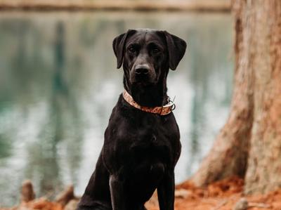 Photo of Reef​​​​‌﻿‍﻿​‍​‍‌‍﻿﻿‌﻿​‍‌‍‍‌‌‍‌﻿‌‍‍‌‌‍﻿‍​‍​‍​﻿‍‍​‍​‍‌﻿​﻿‌‍​‌‌‍﻿‍‌‍‍‌‌﻿‌​‌﻿‍‌​‍﻿‍‌‍‍‌‌‍﻿﻿​‍​‍​‍﻿​​‍​‍‌‍‍​‌﻿​‍‌‍‌‌‌‍‌‍​‍​‍​﻿‍‍​‍​‍‌‍‍​‌﻿‌​‌﻿‌​‌﻿​​​﻿‍‍​‍﻿﻿​‍﻿﻿‌‍﻿​‌‍﻿﻿‌‍​﻿‌‍​‌‌‍﻿​‌‍‍​‌‍﻿﻿‌﻿​﻿‌﻿‌​​﻿‍‍​﻿​﻿​﻿​﻿​﻿​﻿​﻿​﻿​‍﻿﻿‌‍‍‌‌‍﻿‍‌﻿‌​‌‍‌‌‌‍﻿‍‌﻿‌​​‍﻿﻿‌‍‌‌‌‍‌​‌‍‍‌‌﻿‌​​‍﻿﻿‌‍﻿‌‌‍﻿﻿‌‍‌​‌‍‌‌​﻿﻿‌‌﻿​​‌﻿​‍‌‍‌‌‌﻿​﻿‌‍‌‌‌‍﻿‍‌﻿‌​‌‍​‌‌﻿‌​‌‍‍‌‌‍﻿﻿‌‍﻿‍​﻿‍﻿‌‍‍‌‌‍‌​​﻿﻿‌​﻿‌﻿​﻿‌﻿​﻿‍​‌‍​﻿​﻿​﻿‌‍​﻿‌‍‌‌​﻿‍​​‍﻿‌​﻿​​​﻿‌‍‌‍‌‌‌‍‌‌​‍﻿‌​﻿‌​​﻿​​‌‍​‍​﻿​​​‍﻿‌​﻿‍‌‌‍‌​​﻿​​‌‍‌‌​‍﻿‌‌‍‌‌‌‍​‍​﻿​﻿​﻿​‍​﻿‌‍​﻿‌​​﻿​﻿‌‍‌‍​﻿‌﻿‌‍​﻿​﻿​﻿​﻿‌​​﻿‍﻿‌﻿‌​‌﻿‍‌‌﻿​​‌‍‌‌​﻿﻿‌‌‍‌​‌‍﻿﻿‌‍‌﻿​﻿‍﻿‌﻿​​‌‍​‌‌﻿‌​‌‍‍​​﻿﻿‌‌‍​﻿‌‍​‌‌‍﻿​‌‍﻿​‌​﻿‍‌‍​‌‌‍﻿‌‌‍‌‌​﻿﻿﻿‌‍​‍‌‍​‌‌﻿​﻿‌‍‌‌‌‌‌‌‌﻿​‍‌‍﻿​​﻿﻿‌‌‍‍​‌﻿‌​‌﻿‌​‌﻿​​​‍‌‌​﻿​﻿‌​​‌​‍‌‌​﻿​‍‌​‌‍​‍‌‌​﻿​‍‌​‌‍‌‍﻿​‌‍﻿﻿‌‍​﻿‌‍​‌‌‍﻿​‌‍‍​‌‍﻿﻿‌﻿​﻿‌﻿‌​​‍‌‌​﻿​﻿‌​​‌​﻿​﻿​﻿​﻿​﻿​﻿​﻿​﻿​‍‌‍‌‍‍‌‌‍‌​​﻿﻿‌​﻿‌﻿​﻿‌﻿​﻿‍​‌‍​﻿​﻿​﻿‌‍​﻿‌‍‌‌​﻿‍​​‍﻿‌​﻿​​​﻿‌‍‌‍‌‌‌‍‌‌​‍﻿‌​﻿‌​​﻿​​‌‍​‍​﻿​​​‍﻿‌​﻿‍‌‌‍‌​​﻿​​‌‍‌‌​‍﻿‌‌‍‌‌‌‍​‍​﻿​﻿​﻿​‍​﻿‌‍​﻿‌​​﻿​﻿‌‍‌‍​﻿‌﻿‌‍​﻿​﻿​﻿​﻿‌​​‍‌‍‌﻿‌​‌﻿‍‌‌﻿​​‌‍‌‌​﻿﻿‌‌‍‌​‌‍﻿﻿‌‍‌﻿​‍‌‍‌﻿​​‌‍​‌‌﻿‌​‌‍‍​​﻿﻿‌‌‍​﻿‌‍​‌‌‍﻿​‌‍﻿​‌​﻿‍‌‍​‌‌‍﻿‌‌‍‌‌​‍‌‍‌﻿​​‌‍‌‌‌﻿​‍‌﻿​﻿‌﻿​​‌‍‌‌‌‍​﻿‌﻿‌​‌‍‍‌‌﻿‌‍‌‍‌‌​﻿﻿‌‌﻿​​‌﻿‌‌‌‍​‍‌‍﻿​‌‍‍‌‌﻿​﻿‌‍‍​‌‍‌‌‌‍‌​​‍​‍‌﻿﻿‌