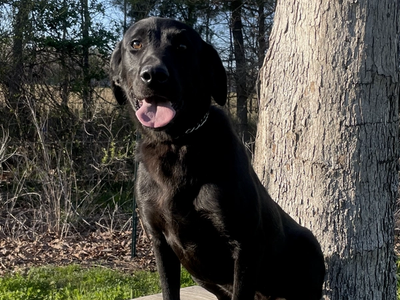 Photo of Molly​​​​‌﻿‍﻿​‍​‍‌‍﻿﻿‌﻿​‍‌‍‍‌‌‍‌﻿‌‍‍‌‌‍﻿‍​‍​‍​﻿‍‍​‍​‍‌﻿​﻿‌‍​‌‌‍﻿‍‌‍‍‌‌﻿‌​‌﻿‍‌​‍﻿‍‌‍‍‌‌‍﻿﻿​‍​‍​‍﻿​​‍​‍‌‍‍​‌﻿​‍‌‍‌‌‌‍‌‍​‍​‍​﻿‍‍​‍​‍‌‍‍​‌﻿‌​‌﻿‌​‌﻿​​​﻿‍‍​‍﻿﻿​‍﻿﻿‌‍﻿​‌‍﻿﻿‌‍​﻿‌‍​‌‌‍﻿​‌‍‍​‌‍﻿﻿‌﻿​﻿‌﻿‌​​﻿‍‍​﻿​﻿​﻿​﻿​﻿​﻿​﻿​﻿​‍﻿﻿‌‍‍‌‌‍﻿‍‌﻿‌​‌‍‌‌‌‍﻿‍‌﻿‌​​‍﻿﻿‌‍‌‌‌‍‌​‌‍‍‌‌﻿‌​​‍﻿﻿‌‍﻿‌‌‍﻿﻿‌‍‌​‌‍‌‌​﻿﻿‌‌﻿​​‌﻿​‍‌‍‌‌‌﻿​﻿‌‍‌‌‌‍﻿‍‌﻿‌​‌‍​‌‌﻿‌​‌‍‍‌‌‍﻿﻿‌‍﻿‍​﻿‍﻿‌‍‍‌‌‍‌​​﻿﻿‌‌‍‌​‌‍​‍‌‍‌‌​﻿‌‍​﻿‌‍​﻿‌﻿‌‍​﻿​﻿‌‌​‍﻿‌​﻿​​‌‍‌‍​﻿‍​‌‍​﻿​‍﻿‌​﻿‌​‌‍​‌‌‍‌‌‌‍‌​​‍﻿‌‌‍​‌​﻿‌﻿​﻿‌​​﻿​​​‍﻿‌‌‍​‍​﻿​‌‌‍‌​‌‍​‌‌‍‌‍‌‍‌​​﻿‍​​﻿‍‌‌‍​﻿‌‍​‌​﻿‍​​﻿‍​​﻿‍﻿‌﻿‌​‌﻿‍‌‌﻿​​‌‍‌‌​﻿﻿‌‌‍‌​‌‍﻿﻿‌‍‌﻿​﻿‍﻿‌﻿​​‌‍​‌‌﻿‌​‌‍‍​​﻿﻿‌‌‍​﻿‌‍​‌‌‍﻿​‌‍﻿​‌​﻿‍‌‍​‌‌‍﻿‌‌‍‌‌​﻿﻿﻿‌‍​‍‌‍​‌‌﻿​﻿‌‍‌‌‌‌‌‌‌﻿​‍‌‍﻿​​﻿﻿‌‌‍‍​‌﻿‌​‌﻿‌​‌﻿​​​‍‌‌​﻿​﻿‌​​‌​‍‌‌​﻿​‍‌​‌‍​‍‌‌​﻿​‍‌​‌‍‌‍﻿​‌‍﻿﻿‌‍​﻿‌‍​‌‌‍﻿​‌‍‍​‌‍﻿﻿‌﻿​﻿‌﻿‌​​‍‌‌​﻿​﻿‌​​‌​﻿​﻿​﻿​﻿​﻿​﻿​﻿​﻿​‍‌‍‌‍‍‌‌‍‌​​﻿﻿‌‌‍‌​‌‍​‍‌‍‌‌​﻿‌‍​﻿‌‍​﻿‌﻿‌‍​﻿​﻿‌‌​‍﻿‌​﻿​​‌‍‌‍​﻿‍​‌‍​﻿​‍﻿‌​﻿‌​‌‍​‌‌‍‌‌‌‍‌​​‍﻿‌‌‍​‌​﻿‌﻿​﻿‌​​﻿​​​‍﻿‌‌‍​‍​﻿​‌‌‍‌​‌‍​‌‌‍‌‍‌‍‌​​﻿‍​​﻿‍‌‌‍​﻿‌‍​‌​﻿‍​​﻿‍​​‍‌‍‌﻿‌​‌﻿‍‌‌﻿​​‌‍‌‌​﻿﻿‌‌‍‌​‌‍﻿﻿‌‍‌﻿​‍‌‍‌﻿​​‌‍​‌‌﻿‌​‌‍‍​​﻿﻿‌‌‍​﻿‌‍​‌‌‍﻿​‌‍﻿​‌​﻿‍‌‍​‌‌‍﻿‌‌‍‌‌​‍‌‍‌﻿​​‌‍‌‌‌﻿​‍‌﻿​﻿‌﻿​​‌‍‌‌‌‍​﻿‌﻿‌​‌‍‍‌‌﻿‌‍‌‍‌‌​﻿﻿‌‌﻿​​‌﻿‌‌‌‍​‍‌‍﻿​‌‍‍‌‌﻿​﻿‌‍‍​‌‍‌‌‌‍‌​​‍​‍‌﻿﻿‌