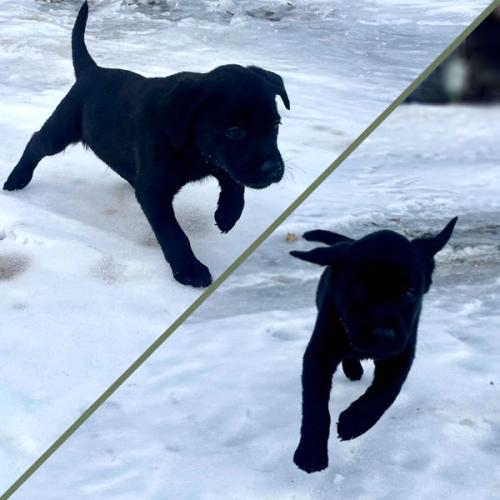 Photo of Molly and Glen Christmas 2025