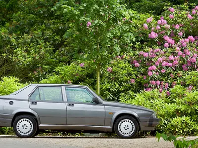 75 V6 QV