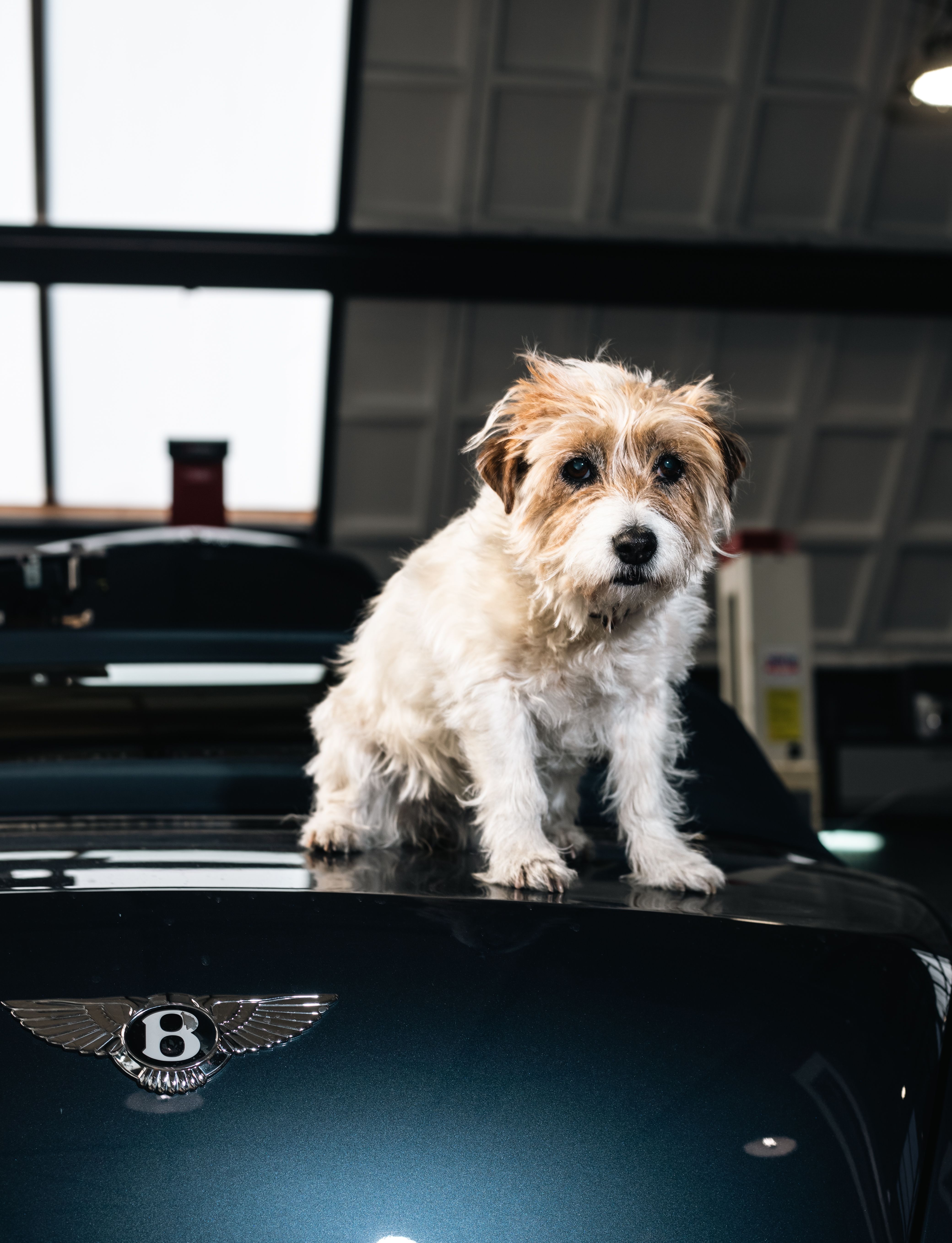 Bentley