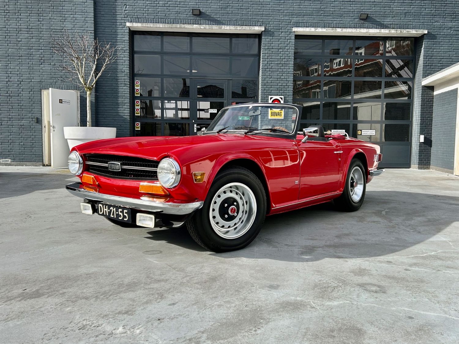TR6
