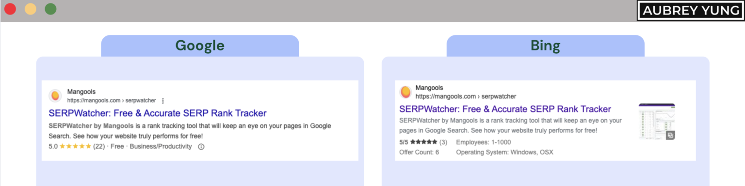 Google vs Bing Software Application rich results