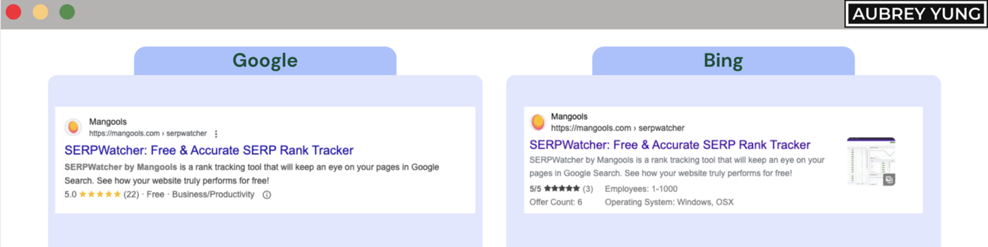 Google vs Bing Software Application rich results
