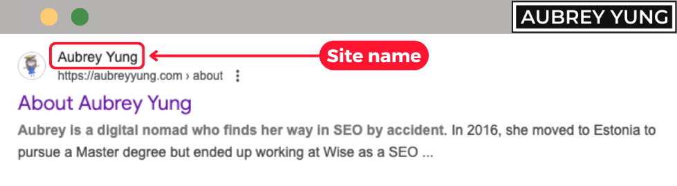Site name in Google Search