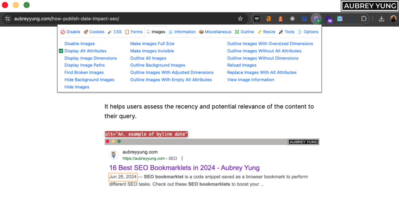 Web Developer Chrome extension
